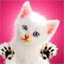 chaton